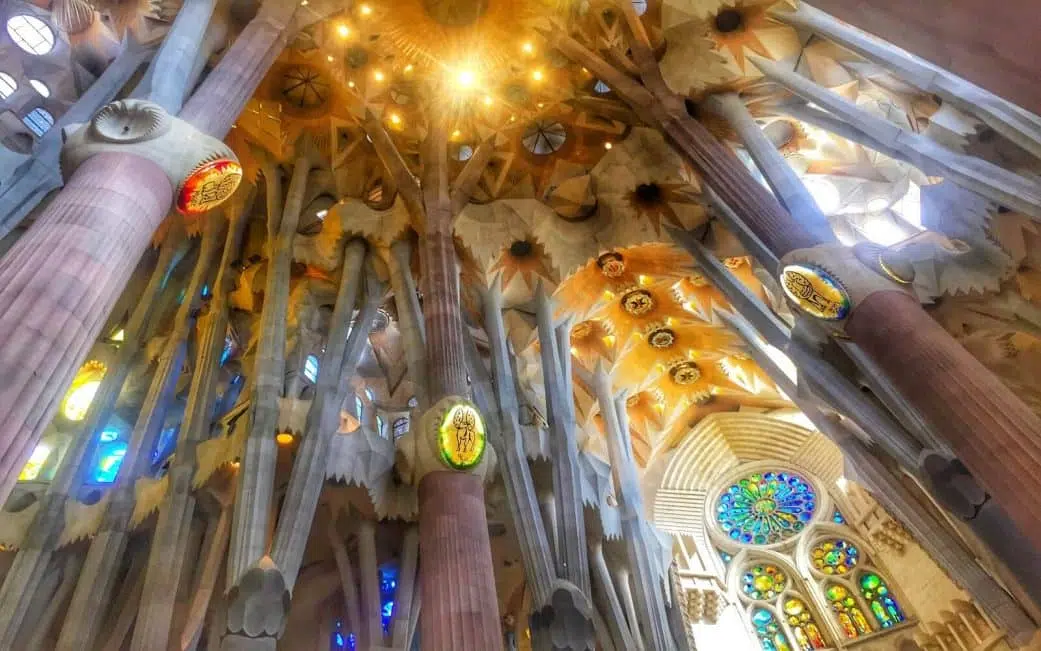 tree branch columns and stained glass rose in la sagrada familia barcelona