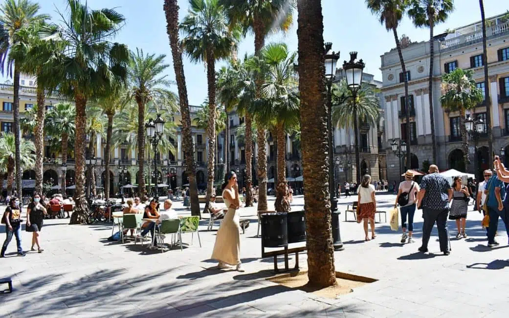 tourists walking under the palm trees at placa reial in the barcelona gothic quarter