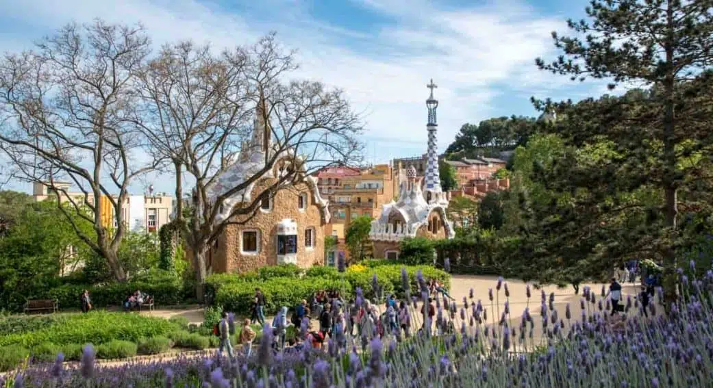 purple flowers with the park guell entrance houses