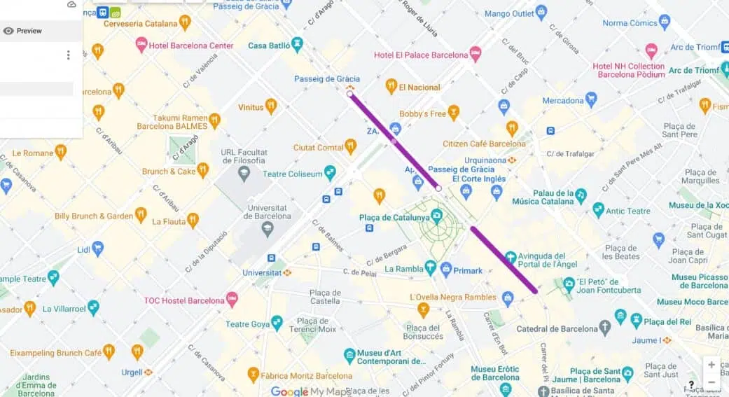 main barcelona shopping streets outlined: passeig de gracia and portal del angel